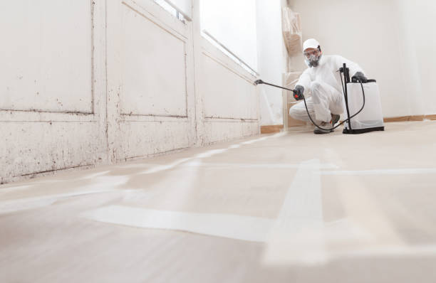 24/7 Emergency Mold Remediation experts in Rolesville, NC